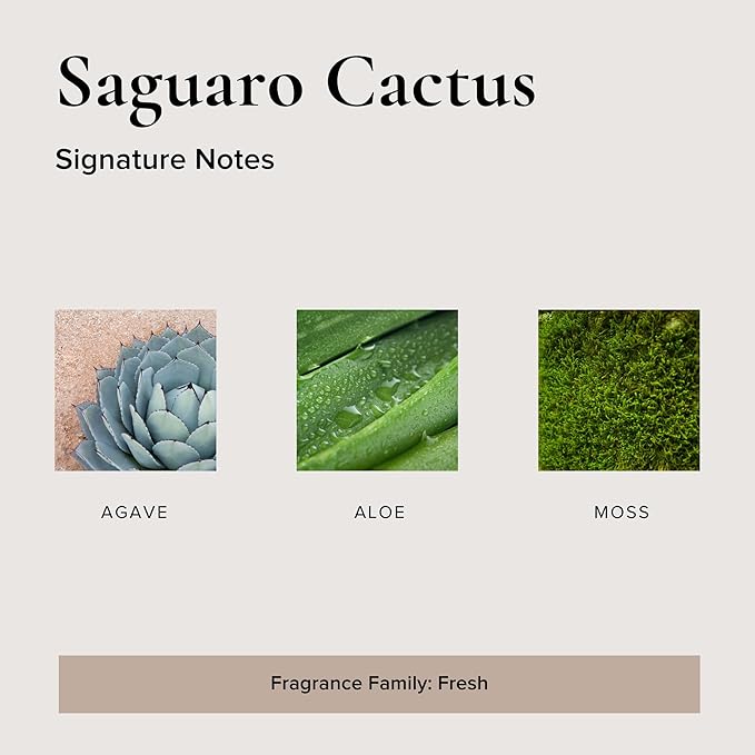 Saguaro Cactus Car Air Fresheners, 4 Pack-Mewly Pet