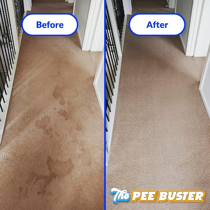 Generic Peebuster Pet Stain & Odor Remover - Cleaning Spray for Dog and Cat Urine, 1 Count (Pack of 1)-Mewly Pet