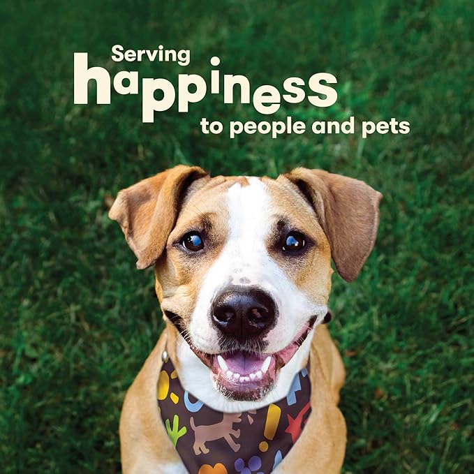 Pet 'n Shape Chik 'n Skewers – Chicken Wrapped Rawhide Dog Chew-Mewly Pet