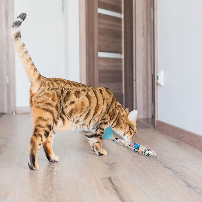 BINGPET 6 Pcs Catnip Toys for Cats,Interactive Cat Toy for Bored Indoor Kitten Adult Cats,Cat Fish Toy Filled with Natural Catnip,Cute Crinkle Cat Toy Kitten Toys Cat Chew Kicker Toy for All Breeds-Mewly Pet