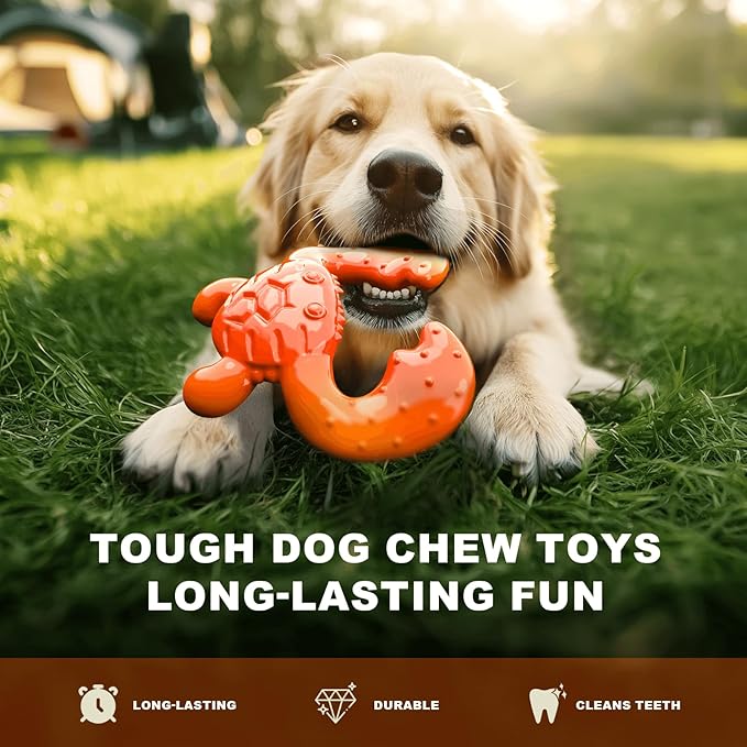 Dog Chew Toy for Aggressive Chewers – Durable Nylon Material, Tough Interactive Dog Toy for Large and Medium Dogs, Perfect for Teeth Cleaning and Gum Health, Christmas Birthday Gifts for Dogs-Mewly Pet