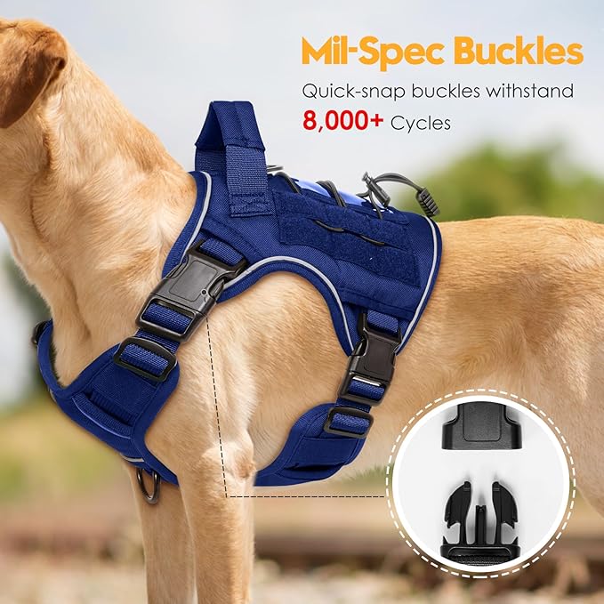Heavy-Duty Tactical Dog Harness for Large Dogs, No Pull Adjustable Reflective Pet Vest with Molle System, K9 Military-Grade Control for Service Training, Outdoor & 10+ Breeds, Dazzling Blue, Medium-Mewly Pet