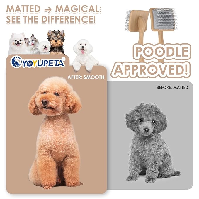 Long Pin Dog Slicker Brush for Poodles, Golden Doodles & Cats - 3-Piece Grooming Kit with Dematting Comb and Pet Comb, Large Wooden Handle Deshedding Tools for Thick Hair Mats Removal-Mewly Pet