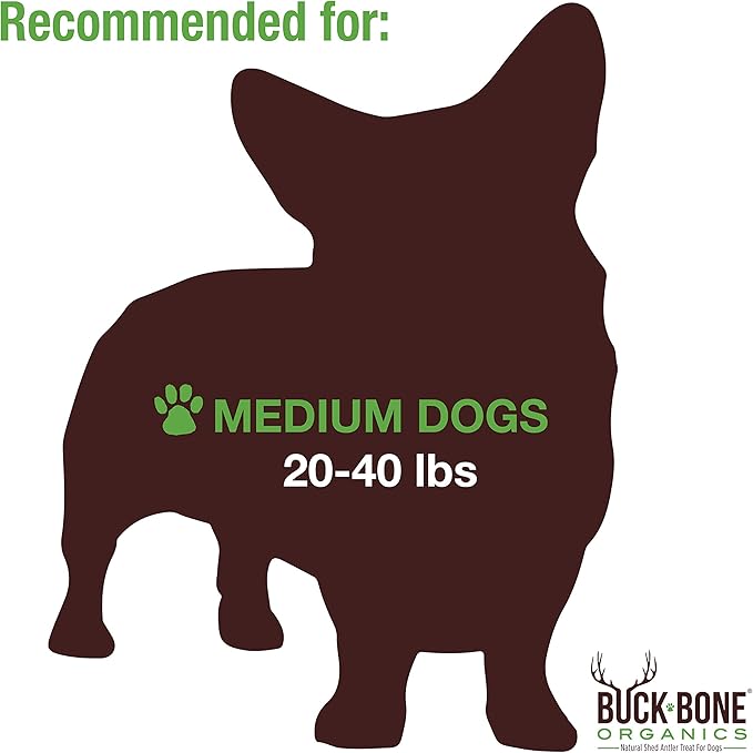 Buck Bone Organics Dog Chews, Moose Antlers for Dogs, Long Lasting Dog Bones for Aggressive Chewers, All Natural, No Preservatives, Wild Shed in The USA (Medium)-Mewly Pet