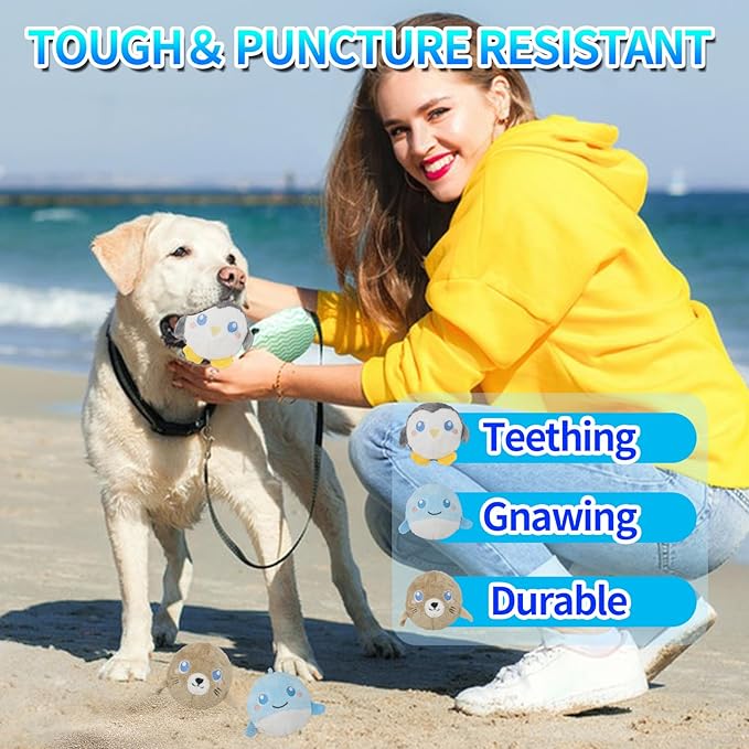 DKING 3Pack Squeaky Dog Balls,2 in1 Funny Puppy Ball Toys,Birthday Dog Toy for Small Medium Dogs (Ocean Ball)-Mewly Pet