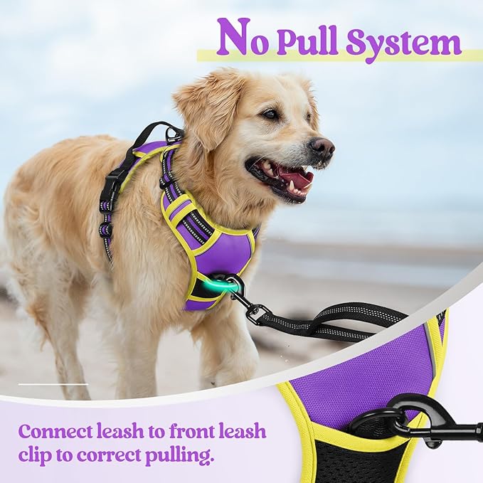 rabbitgoo Dog Harness No Pull with 2 Leash Clips, Adjustable Soft Padded, Reflective Oxford No Choke Pet Vest with Easy Control Handle for Large Dogs, Purple & Yellow, L-Mewly Pet