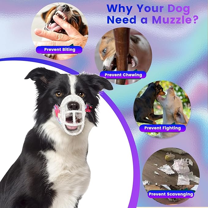 Dog Muzzle, OKKIC Basket Muzzle Anti Biting Chewing, Sturdy Lightweight Muzzle Allows Panting Drinking,Muzzle for Small Medium Large Dogs, Suitable for Grooming Trimming Training (Transparent, Size6)-Mewly Pet
