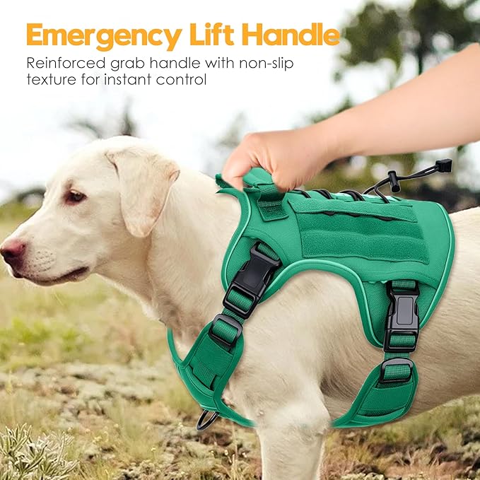 Heavy-Duty Tactical Dog Harness for Large Dogs, No Pull Adjustable Reflective Pet Vest with Molle System, K9 Military-Grade Control for Service Training, Outdoor & 10+ Breeds, Turquoise, Large-Mewly Pet