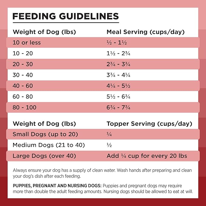 BIXBI Rawbble Freeze Dried Dog Food, Beef Recipe, 26 oz - 98% Meat and Organs, No Fillers - Pantry-Friendly Raw Dog Food for Meal, Treat or Food Topper - USA Made in Small Batches-Mewly Pet