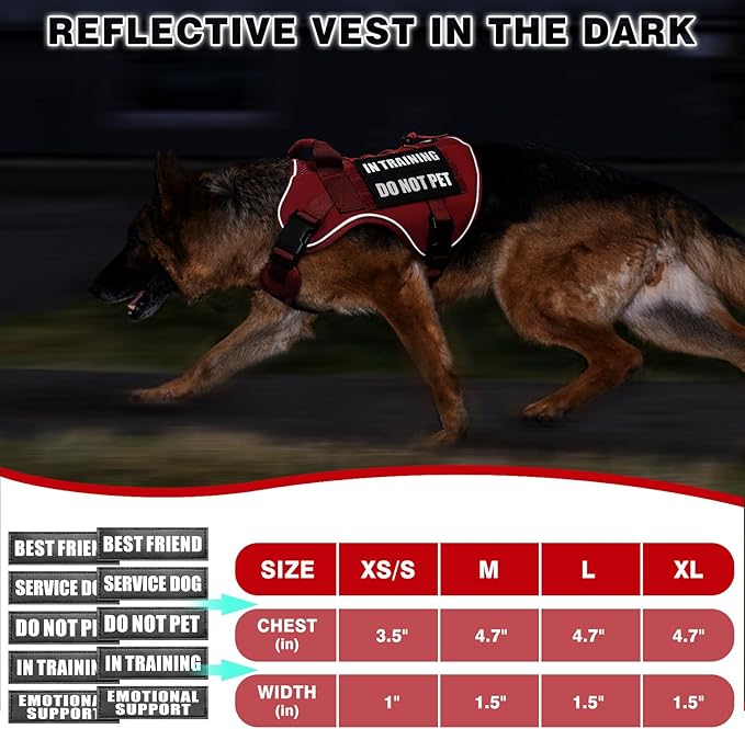 WINSEE Service Dog in Training Mesh Harness with 10 Pet Patches, Soft Air Mesh Breathable Tactical Dog Molle Vest, Reflective Military Pet Vest for Walking Hiking for Large Dogs-Mewly Pet