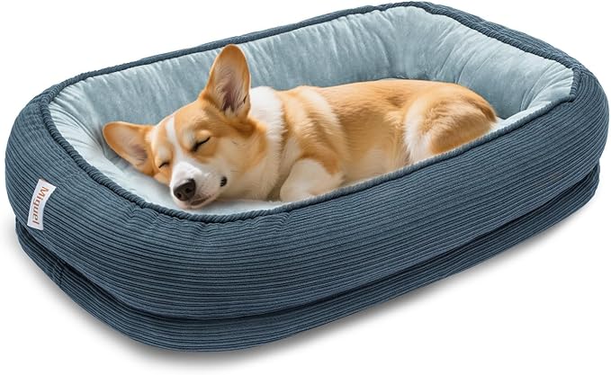 Orthopedic Dog Bed for Medium Size Dog Washable Cover, Egg Crate Foam Bed for Senior Dogs,Oval Kennel Bed, Pet Couch Bed with Four Sided Bolster, Removable Washable Cover Non-Slip Bottom, Haze Blue-Mewly Pet