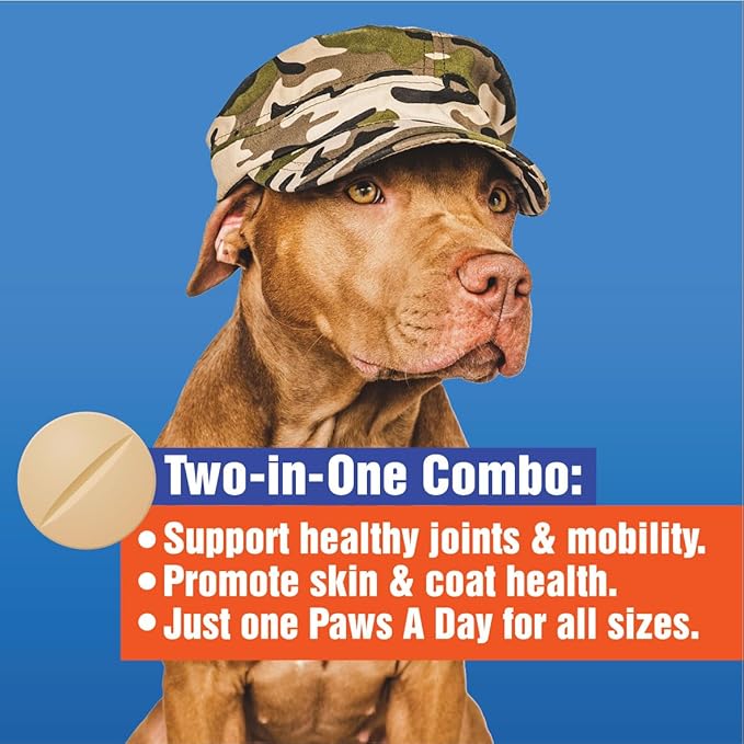 Glucosamine for Dogs Hip & Joint Supplement – “Two-in-One Combo” Dog Joint Care and Improved Skin & Coat with Chondroitin, MSM, Omega 3, Collagen & Biotin, 60 Chewable Tablets-Mewly Pet