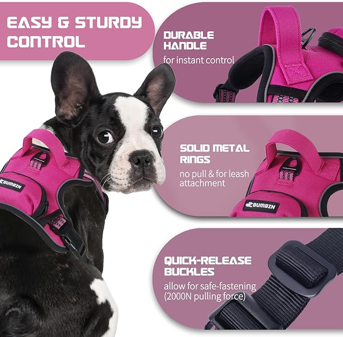 BUMBIN Dog Harness for Large Dogs, No Pull Adjustable No Choke Pet Vest with Dog Leash Fit Smart Reflective Pet Walking Harness for Training Easy Control Soft Handle Rose Red M-Mewly Pet