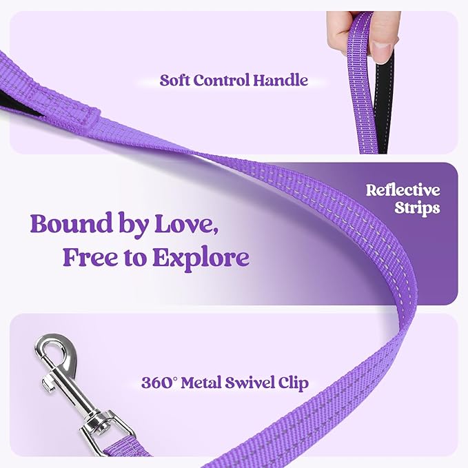 rabbitgoo Dog Harness Small Sized and Leash Set, Step in Soft Light Puppy Vest, Breathable Mesh Pet Harness, Reflective for Safe Outdoor Walking, Purple XXS-Mewly Pet