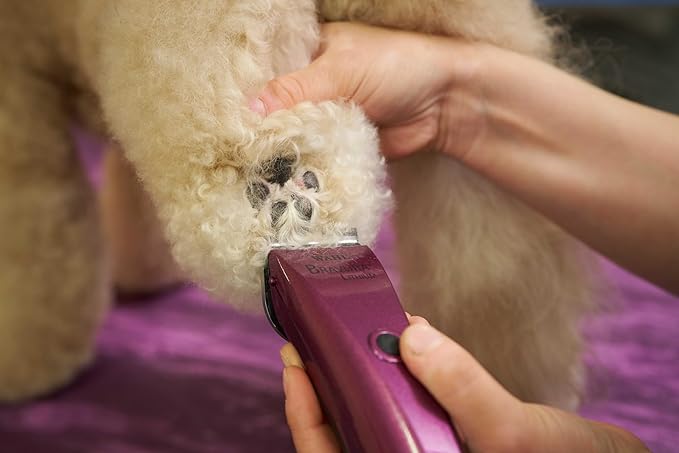 WAHL Professional Animal Bravura Lithium Ion Clipper - Pet, Dog, Cat, and Horse Corded/Cordless Clipper Kit, Purple (41870-0423)-Mewly Pet