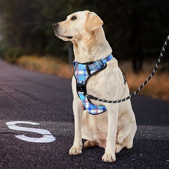 IVY&LANE No Pull Dog Harness with Leash Set, Reflective No Choke Pet Vest,Adjustable Oxford Dog Vest Harness with Easy Control Handle for Small Dogs (Checkered Blue,S)-Mewly Pet