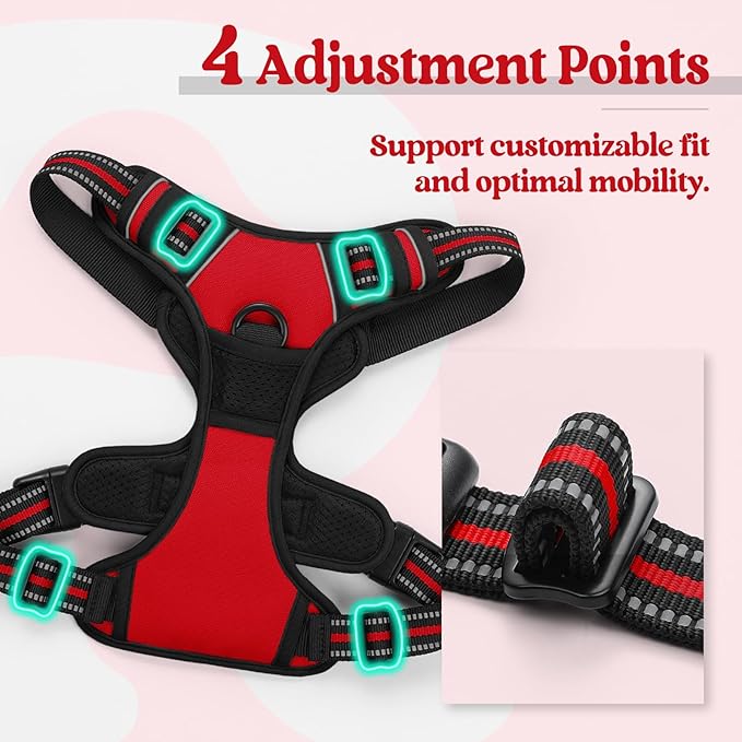 rabbitgoo Dog Harness No Pull with 2 Leash Clips, Adjustable Soft Padded, Reflective Oxford No Choke Pet Vest with Easy Control Handle for Large Dogs, Red, XL-Mewly Pet