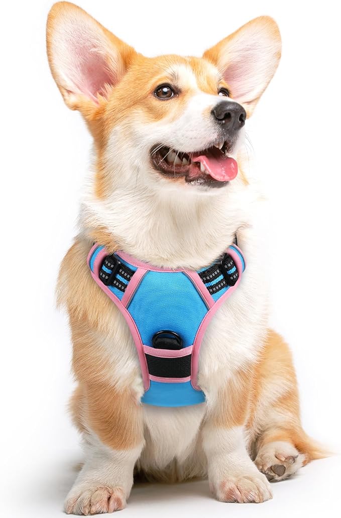 Eagloo Dog Harness for Large Dogs, No Pull Service Vest with Reflective Strips and Control Handle, Adjustable and Comfortable for Walking, No Choke Harness with 2 Metal Rings, Pink & Blue, M-Mewly Pet
