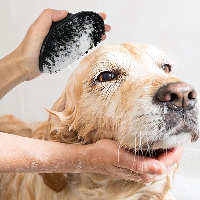 Dog Brush Kit for Grooming Short & Long Haired Dogs & Cats, 4-in-1 Pet Grooming Set with Self-Cleaning Slicker Brush, Deshedding Tool, Shampoo Bath Comb, Massge Comb (Green Black)-Mewly Pet