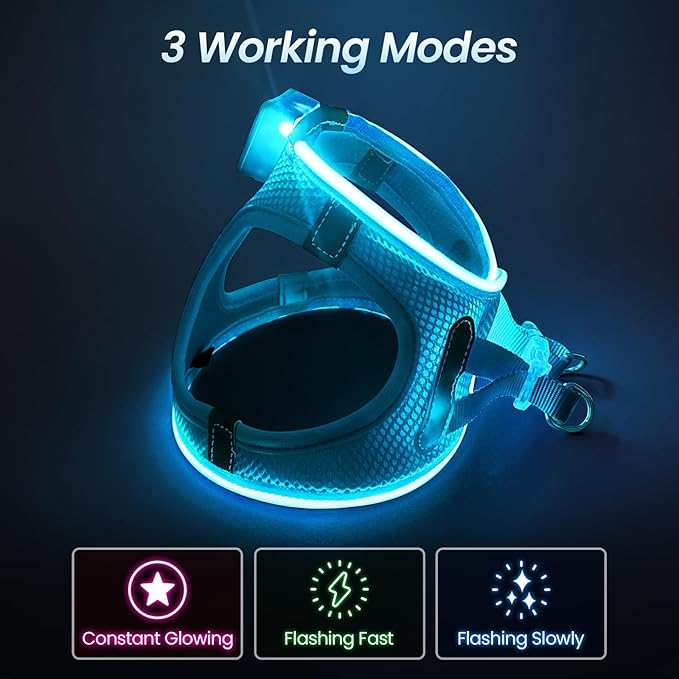 PceoTllar Light Up Dog Harness, LED No Pull Reflective Dog Harness, Flashing Lighted for Night Walking - Small/Medium, (Blue M)-Mewly Pet