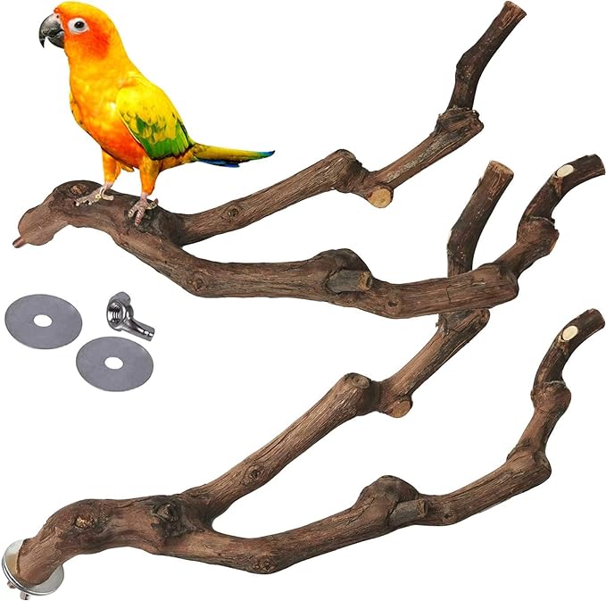 kathson Natural Parrot Perch Bird Stand Pole Wild Grape Stick Paw Grinding Fork Parakeet Climbing Standing Branches Toy Chewable Cage Accessories for Small Budgies Cockatiels Lovebirds 2PCS-Mewly Pet
