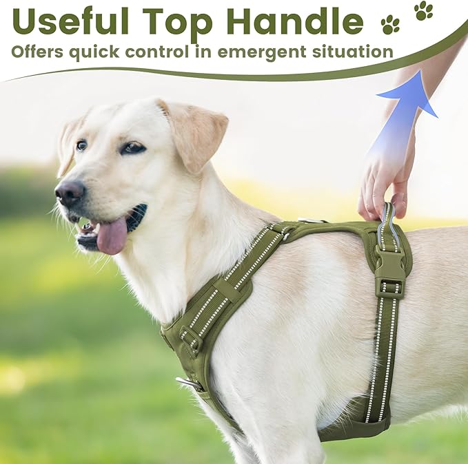 No Pull Dog Harness, Reflective Puppy Vest for Small Medium Large Sized Dog (Misty Green,M)-Mewly Pet