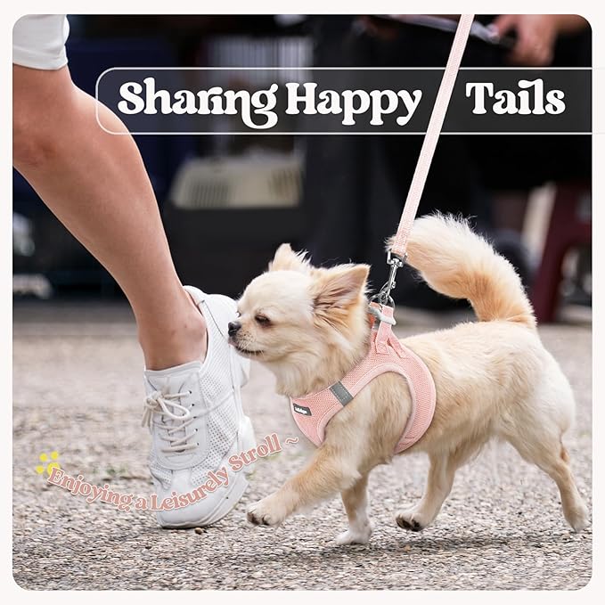 rabbitgoo Dog Harness Small Sized and Leash Set, Step in Soft Light Puppy Vest, Breathable Mesh Pet Harness, Reflective for Outdoor Safe Walking, Pink XL-Mewly Pet