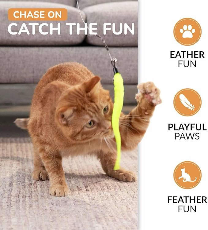 PAWSITIVE Interactive Cat Toys - Retractable Feather Wand with Refill Set 12PCS - Perfect for Indoor Cats to Chase, Exercise & Bond with Their Owners-Mewly Pet