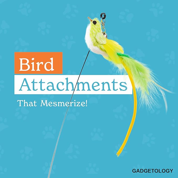 Interactive Bird Simulation Cat Toy Set for Bored Indoor Adult Cats Feather Toy Wand 5 Pcs Natural Bird Feathers Stable Round Base Wand Cat Toys for Indoor Cats Hunting Toys-Mewly Pet