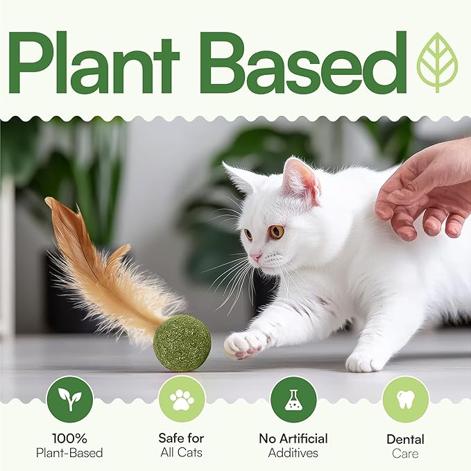 3 Pcs Catnip Balls with Feathers – Natural Catnip Toy for Play, Stress Relief & Healthy Enrichment Interactive Cat Toys Perfect for Indoor Cats & Kittens, Encourages Active Play & Wellness-Mewly Pet