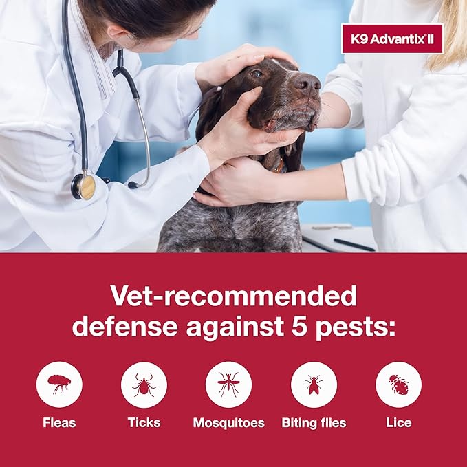 K9 Advantix II XL Dog Vet-Recommended Flea, Tick & Mosquito Treatment & Prevention | Dogs Over 55 lbs. | 1-Mo Supply-Mewly Pet