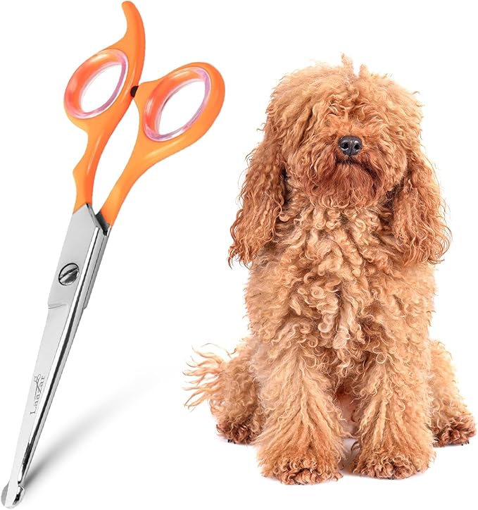 Professional Rounded Dog Scissors - Sharp Stainless Steel Blades with Colorful Handles, Safe and Easy-to-Use Pet Scissors for Long Lasting Grooming at Home-Mewly Pet