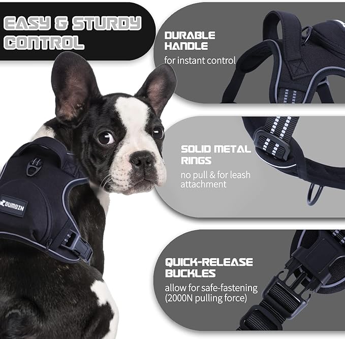 No Pull Dog Harness for Medium Dogs, Adjustable No Choke Pet Vest with Dog Leash Fit Smart Reflective Pet Walking Harness for Training Easy Control Soft Handle Black S-Mewly Pet