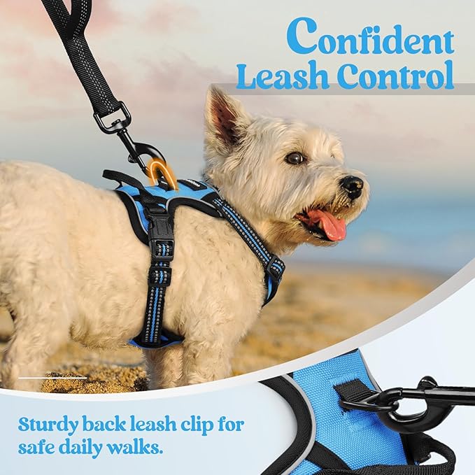 rabbitgoo Dog Harness No Pull with 2 Leash Clips, Adjustable Soft Padded, Reflective Oxford No Choke Pet Vest with Easy Control Handle for Puppy, Blue, XS-Mewly Pet