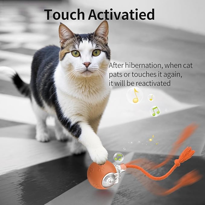 Interactive Cat Toys, Automatic Moving Cat Toys for Bored Indoor Adult Cats, Fast Rolling, Chirping & Motion-Activated Kitty Toys, Fun Gift for Cats with Speedy Tail 2.0, USB Rechargeable, Orange-Mewly Pet