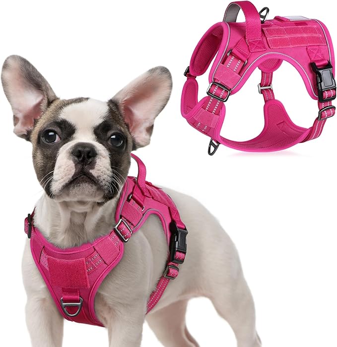 rabbitgoo Tactical Dog Harness for Small Dogs, No Pull Military Service Vest with Handle & Molle, Easy Control for Training Walking, Adjustable Reflective Straps, Rose Red, S-Mewly Pet
