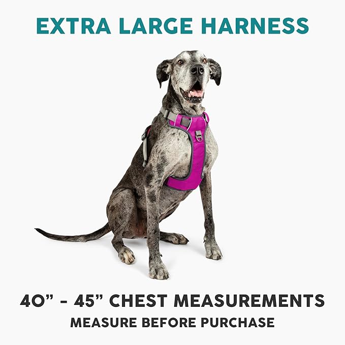 Embark Adventure Dog Harness, Reflective Trim XL Dog Harness for Extra Large Dogs No Pull - Military Grade Nylon, 2 Leash Clips & Gel Lined Handle.-Mewly Pet