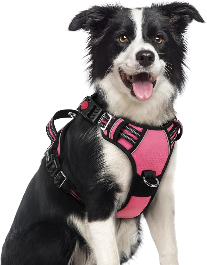 rabbitgoo Dog Harness Medium Sized, No Pull Dog Vest with 3 Buckles, Adjustable Soft Padded Pet Harness with Easy Control Handle and Reflective Strips, Pink, M-Mewly Pet