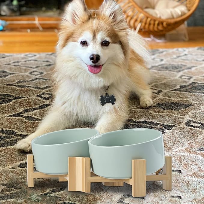 SPUNKYJUNKY 15° Slanted Ceramic Dog and Cat Bowl with Wooden Stand, Tilted Bulldog Food and Water Bowl No Slip Non-Spill for Cats Medium Dogs Big Face Pets 28.7 OZ (3.6 Cups, Morandi Green × 2)-Mewly Pet