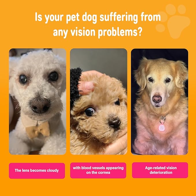 Eye Supplements for Dogs - Vision Support Soft Chews with Lutein, DHA & Vitamin C | 120ct Salmon Flavor Tear Stain Chews | Cataract & Dry Eye Relief Supplement (120 Ct, Salmon)-Mewly Pet