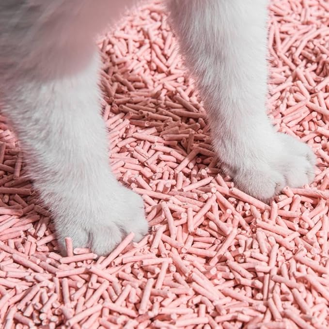Tofu Cat Litter Natural Clumping Tofu Cat Litter, Fast Clumping and Easily Scoop-able 5.5lb/88oz 5 Scents - Peach, 8 Pack-Mewly Pet