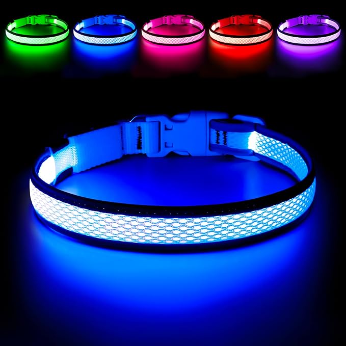 Flashseen LED Dog Collar, Light Up Dog Collar USB Rechargeable, Brightest Dog Lights for Night Walking, Adjustable Dog Collar Light for Dog Safety (Large, Royal Blue)-Mewly Pet