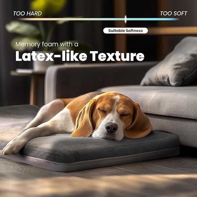 Laifug Orthopedic Memory Foam Extra Large Dog Bed with Pillow and Durable Water Proof Liner & Removable Washable Cover & Smart Design (Large (40"x25"x5.5"), Grey)-Mewly Pet