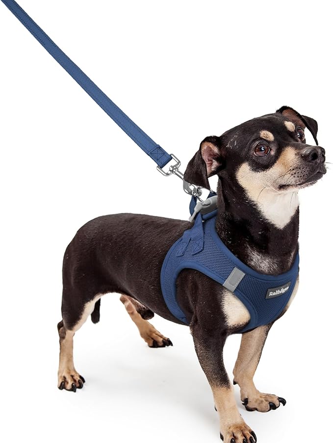rabbitgoo Dog Harness Small Sized and Leash Set, Step in Soft Light Puppy Vest, Breathable Mesh Pet Harness, Reflective for Outdoor Safe Walking, Navy Blue XXXS-Mewly Pet