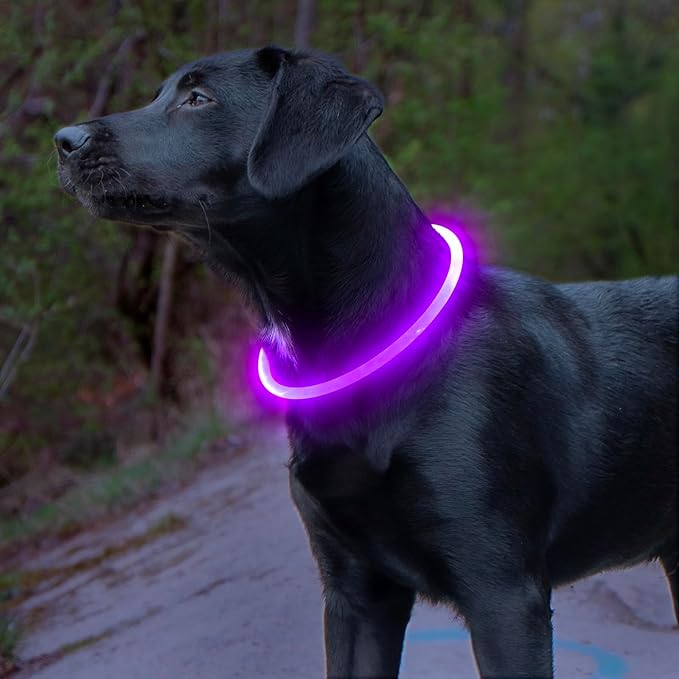 Light up Dog Collar, BSEEN USB Rechargeable Flash Dog Necklace Light, Pet Safety Collar Makes Your Beloved Dogs Be Seen at Night for Small Medium Large Dogs(Purple)-Mewly Pet