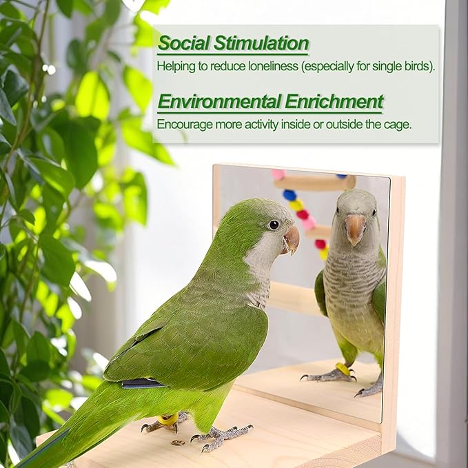 Wooden Bird Parrots Playground, Bird Perch Stand, with Bird Ladder Chewing Toys, Out of Cage Accessories-Mewly Pet
