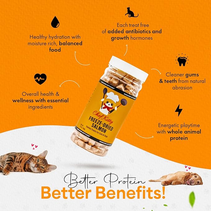 Freeze-Dried Salmon Treats for Cats & Dogs – 100% Wild Caught, Single Ingredient, High-Protein, Healthy Snack – No Additives or Preservatives – 1.4oz - Inspected & Tested in USA-Mewly Pet
