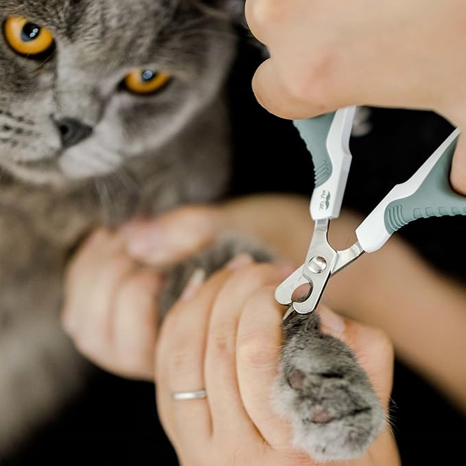 Mr. Pen- Cat Nail Clipper Cat Nail Trimmers Cat Claw Clippers Cat Claw Trimmers Kitten Nail Clipper Cat Clippers Nails Nail Clippers Cats Pet Nail Clippers Cats Cat Nail Cutter Olive ALNA001M301N-Mewly Pet