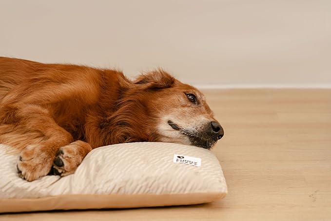 FUNNY FUZZY Washable Dog Bed,Reversible Plush Dog Crate Mat, Soft Fluffy Kennel Pad,Pet Sleeping Mattress for Jumbo,X-Large Sized Dogs Breeds,2XL,48"× 31",Beige-Mewly Pet