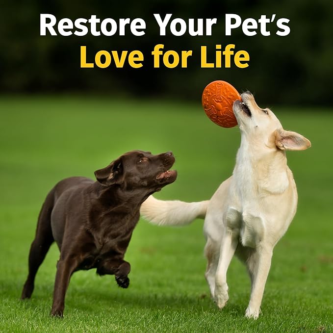 Hip & Joint Supplement for Dogs & Cats with Cetyl Myristoleate, Glucosamine, Collagen, MSM - Advanced Joint Support for Mobility, Senior Pets, Small & Large Breeds - 60 Chews (Pork Liver)-Mewly Pet